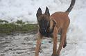 Jethro (56)